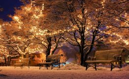 I nostri Auguri di Buon Natale e magnifico Nuovo Anno!